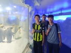 โครงการเรียนภาษาอังกฤษแบบเข้ม ณ Wentworth College &amp; Primary, ... Image 283