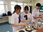 โครงการเรียนภาษาอังกฤษแบบเข้ม ณ Wentworth College &amp; Primary, ... Image 95