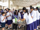 โครงการ Life Project ระดับชั้นม.6 ปีการศึกษา 2568 ครั้งที่ 1 Image 35