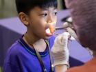 โครงการตรวจสุขภาพนักเรียน ปีการศึกษา 2568 Image 116