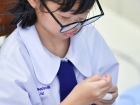 บรรยากาศการทำพานไหว้ครู ปีการศึกษา 2568 Image 7