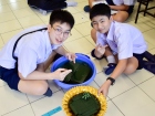 บรรยากาศการทำพานไหว้ครู ปีการศึกษา 2568 Image 336