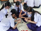 บรรยากาศการทำพานไหว้ครู ปีการศึกษา 2568 Image 235