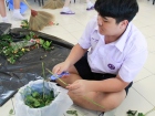 บรรยากาศการทำพานไหว้ครู ปีการศึกษา 2568 Image 268