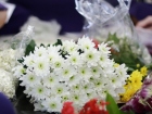 บรรยากาศการทำพานไหว้ครู ปีการศึกษา 2568 Image 270