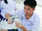 บรรยากาศการทำพานไหว้ครู ปีการศึกษา 2568 Image 317
