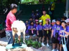 The Clifford Phonics Camp 2019 Image 351