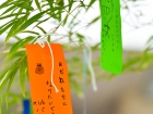 เทศกาลทานาบาตะ (Tanabata) 2025 Image 88