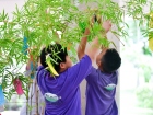 เทศกาลทานาบาตะ (Tanabata) 2025 Image 104