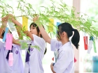 เทศกาลทานาบาตะ (Tanabata) 2025 Image 121
