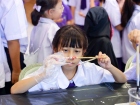 กิจกรรม “Harry Potter กับห้องสมุดแห่งความสุข” Image 47
