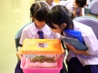 โครงการหนอนไหม ครั้งที่ 15 ปีการศึกษา 2568 Image 103