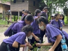 โครงการการศึกษานอกสถานที่ ระดับชั้นป.5 “เดินตามรอยเท้าพ่อ เศ ... Image 33