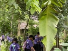 โครงการการศึกษานอกสถานที่ ระดับชั้นป.5 “เดินตามรอยเท้าพ่อ เศ ... Image 37