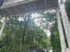 โครงการการศึกษานอกสถานที่ ระดับชั้นป.5 “เดินตามรอยเท้าพ่อ เศ ... Image 53