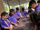 โครงการการศึกษานอกสถานที่ ระดับชั้นป.5 “เดินตามรอยเท้าพ่อ เศ ... Image 248