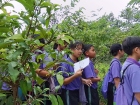 โครงการการศึกษานอกสถานที่ ระดับชั้นป.5 “เดินตามรอยเท้าพ่อ เศ ... Image 84