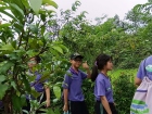 โครงการการศึกษานอกสถานที่ ระดับชั้นป.5 “เดินตามรอยเท้าพ่อ เศ ... Image 91