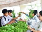 กิจกรรมปันบุญวันแม่ 2568 Image 18