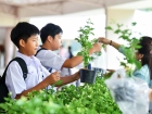 กิจกรรมปันบุญวันแม่ 2568 Image 19