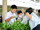 กิจกรรมปันบุญวันแม่ 2568 Image 23
