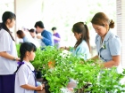 กิจกรรมปันบุญวันแม่ 2568 Image 84