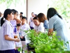 กิจกรรมปันบุญวันแม่ 2568 Image 93