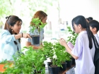 กิจกรรมปันบุญวันแม่ 2568 Image 130