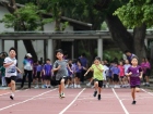 การคัดเลือกนักกีฬา เพื่อเป็นตัวแทนเข้าร่วมการแข่งขันกีฬาสาธิ ... Image 22