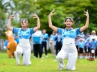 กีฬาสีสัมพันธ์ ครั้งที่ 21 &quot;การโชว์เชียร์&quot; Image 106