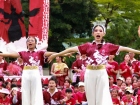 กีฬาสีสัมพันธ์ ครั้งที่ 21 &quot;การโชว์เชียร์&quot; Image 64