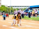 กีฬาสีสัมพันธ์ ครั้งที่ 21 "การแข่งขันกรีฑา" Image 638