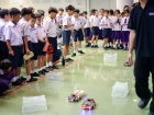 กิจกรรม "AI เพื่อนใหม่ของเรา : มารู้จักโลกของหุ่นยนต์อัจฉริย ... Image 88