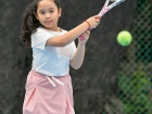 การประเมินผลกิจกรรมส่งเสริมความถนัด ความสนใจ และความสามารถพิ ... Image 216