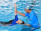 การประเมินผลกิจกรรมส่งเสริมความถนัด ความสนใจ และความสามารถพิ ... Image 334