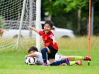 การประเมินผลกิจกรรมส่งเสริมความถนัด ความสนใจ และความสามารถพิ ... Image 259