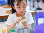 การประเมินผลกิจกรรมส่งเสริมความถนัด ความสนใจ และความสามารถพิ ... Image 371