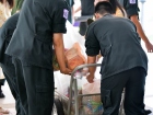วันนวมินทรมหาราช 2568 Image 101
