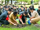 นักศึกษาวิชาทหารปลูกต้นไม้ เพื่อถวายเป็นพระราชกุศล Image 8