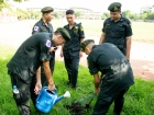 นักศึกษาวิชาทหารปลูกต้นไม้ เพื่อถวายเป็นพระราชกุศล Image 84