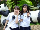 ยินดีต้อนรับคณาจารย์และนักเรียน จากโครงการแลกเปลี่ยนการศึกษา ... Image 521
