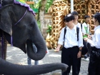 ยินดีต้อนรับคณาจารย์และนักเรียน จากโครงการแลกเปลี่ยนการศึกษา ... Image 524