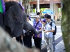 ยินดีต้อนรับคณาจารย์และนักเรียน จากโครงการแลกเปลี่ยนการศึกษา ... Image 527