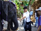 ยินดีต้อนรับคณาจารย์และนักเรียน จากโครงการแลกเปลี่ยนการศึกษา ... Image 528