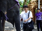 ยินดีต้อนรับคณาจารย์และนักเรียน จากโครงการแลกเปลี่ยนการศึกษา ... Image 529