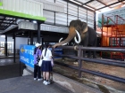 ยินดีต้อนรับคณาจารย์และนักเรียน จากโครงการแลกเปลี่ยนการศึกษา ... Image 534