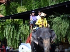 ยินดีต้อนรับคณาจารย์และนักเรียน จากโครงการแลกเปลี่ยนการศึกษา ... Image 536