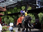 ยินดีต้อนรับคณาจารย์และนักเรียน จากโครงการแลกเปลี่ยนการศึกษา ... Image 538