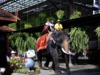 ยินดีต้อนรับคณาจารย์และนักเรียน จากโครงการแลกเปลี่ยนการศึกษา ... Image 540