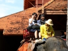 ยินดีต้อนรับคณาจารย์และนักเรียน จากโครงการแลกเปลี่ยนการศึกษา ... Image 541